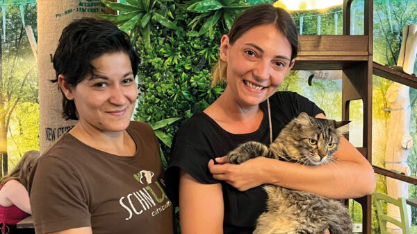 Viola Reuther-Verena Kulterer-Katzencafé Cat’n Coffee-Klagenfurt