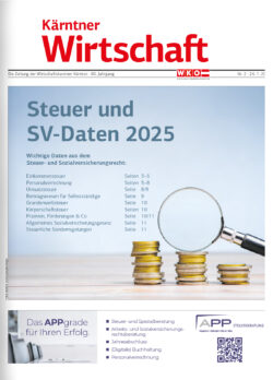 Steuer-und-SV-Daten-2025