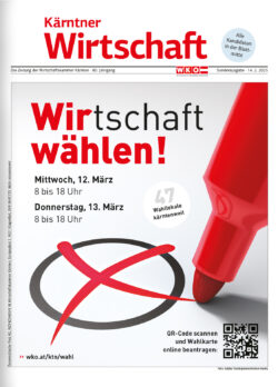 Sonderausgabe WK Wahl 2025